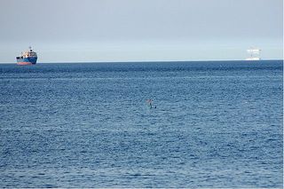 ¿Barco fantasma?