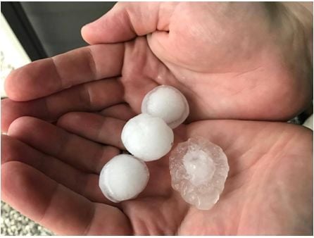 ¿cómo Se Forma El Granizo? Imagen de granizo en Moggill, Queensland, el 8 de noviembre de 2016. Crédito: Andre de Wolf.