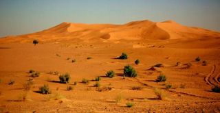 ¿Crearon los seres humanos el desierto del Sahara?