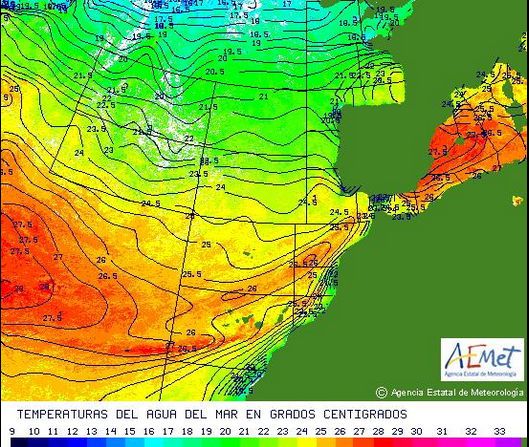 ¿está Cálido El Mediterráneo Occidental?