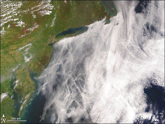 Figura 3. Imagen del sensor MODIS mostrando estelas de condensación de barcos en la costa este de los EE.UU., en un manto de nubes bajas. Foto NASA. (Añadido por la RAM)