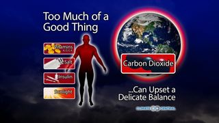 ¿No es el CO2 algo bueno?