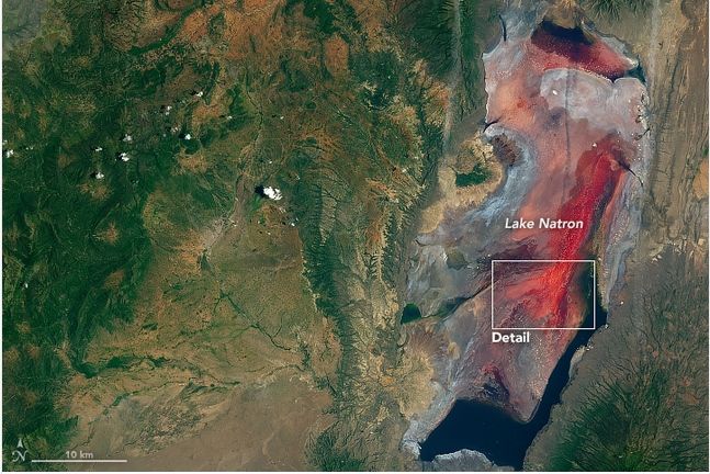 ¿sangre En El Lago? ¿sangre En El Lago?