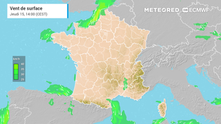 Vent de surface