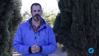 Fin de semana con nieblas y viento de levante