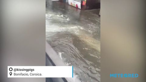 El agua del mar invade el puerto de Bonifacio