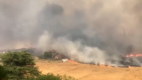Devastadores incendios en el oeste de Roma