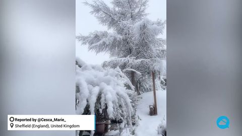 Importantes nevadas en Sheffield, Reino Unido