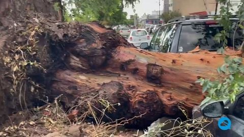 Een zware storm zorgt voor chaos in Hermosillo, Mexico
