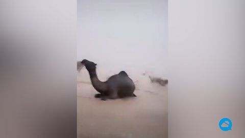 Incríveis tempestades noturnas na Arábia Saudita ocidental