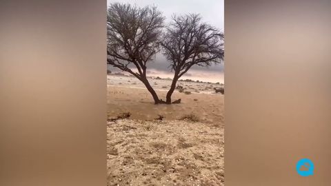 Tempête impressionnante en Arabie Saoudite