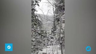 Zware sneeuwval in het noorden van Mexico in de eerste uren van 2021