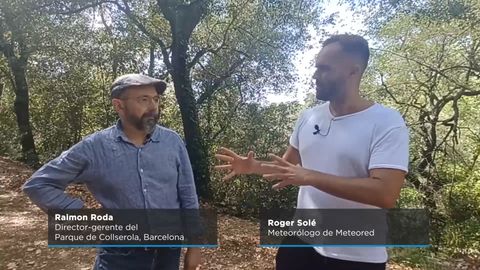 ¿Son nuestros bosques un polvorín este verano? Hablamos con Raimon Roda