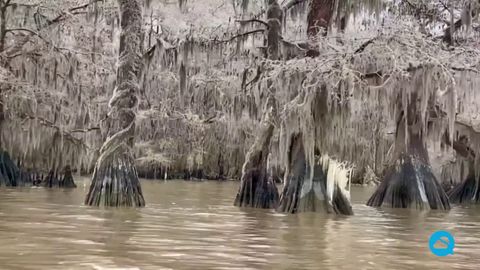 La glace atteint les marais de la côte de la Louisiane, USA