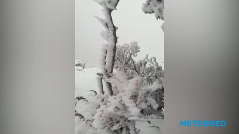 Nevadas y granizadas en Arabia