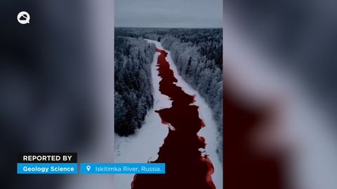 El río Iskitimka se tiñe de rojo oscuro en Rusia