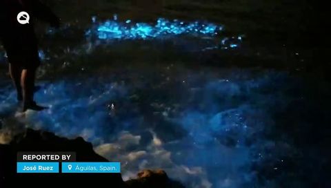Increíbles bioluminiscencias en la costa de Águilas, España.