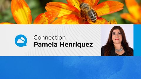 El tiempo en Chile este domingo durante el Plebiscito Constitucional