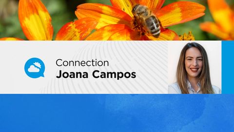 Tempo em Portugal seco e soalheiro nos próximos dias, mas atenção ao frio nestas regiões