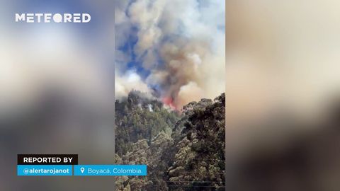 Los incendios causan estragos en Colombia.