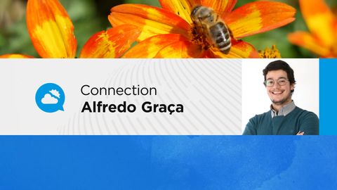 Poeiras em Portugal, talvez o último marco do anticiclone. Mapas mostram mudança drástica do tempo em poucos dias