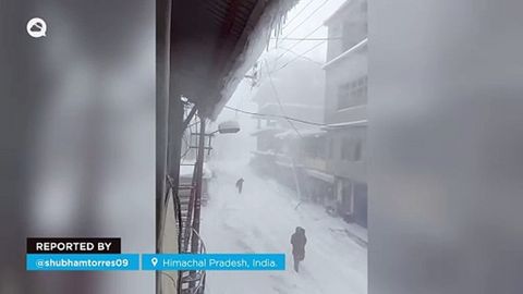 Impresionante tormenta de nieve en Himachal Pradesh, India