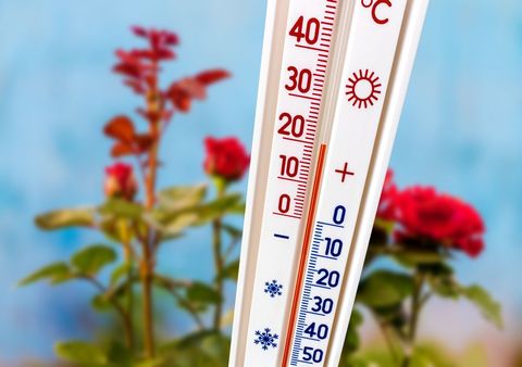 Prima Wetteraussichten für Deutschlan: Frühlingswärme bis Ostern! Oft freundlich und für die Jahreszeit ungewöhnlich warm.