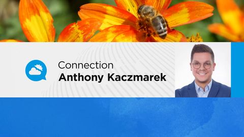 Alerte rouge aux pollens : un week-end critique en France pour les allergiques ! Quelles régions concernées ?