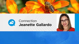 Guidelines for Safe Eclipse Viewing