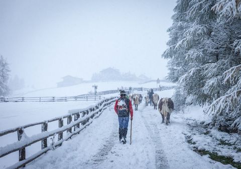 Wettersturz durch Polarluft! Gewitter mit Hagel und Tornadogefahr!