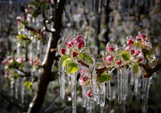 Frost-Alarm! Nachts deutlich unter 0 Grad, lokal Schnee, doch es gibt Hoffnung!
