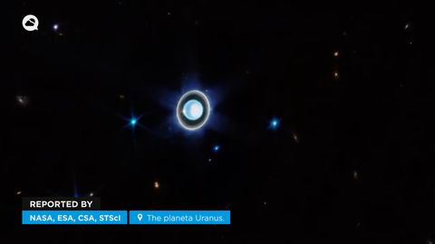 Hermosas imágenes del planeta Urano captadas por el James Webb