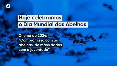 Dia mundial das Abelhas