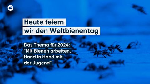 Heute feiern wir den Weltbienentag