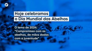 Hoje celebramos o Dia Mundial das Abelhas