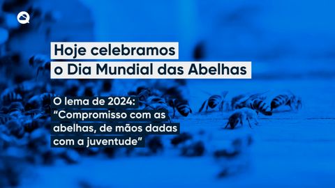 Hoje celebramos o Dia Mundial das Abelhas
