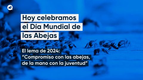 Hoy celebramos el Día Mundial de las Abejas