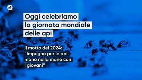 Oggi celebriamo la giornata mondiale delle api