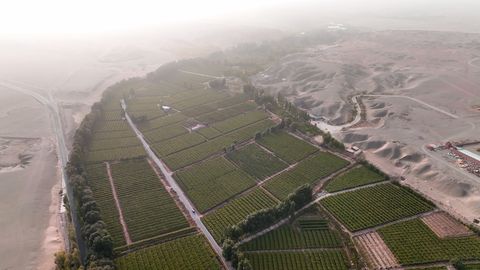  Reverdecer los desiertos, ¿una buena idea o un gran disparate?