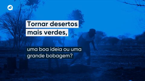 Tornar desertos mais verdes, uma boa ideia ou uma grande bobagem?