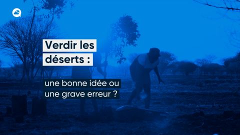  Verdir les déserts : une bonne idée ou une grave erreur ?