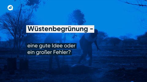  Wüstenbegrünung - eine gute Idee oder ein großer Fehler?