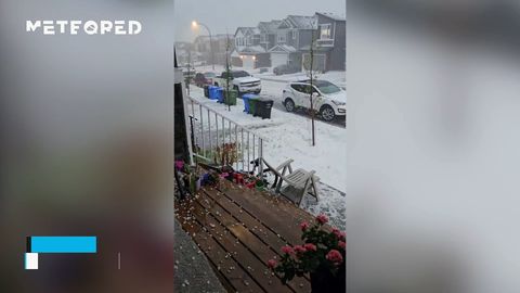 La fuerte caída de granizo provoca severos daños en Calgary, Canadá