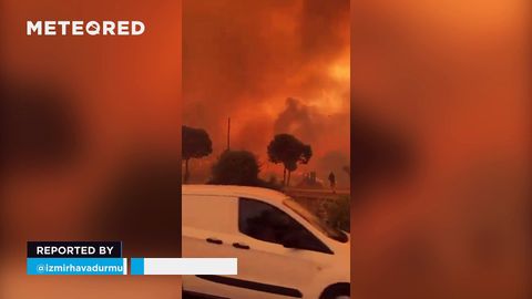 Potente incendio forestal genera graves daños en Izmir, Turquía