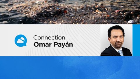 La importancia de los bosques por sus servicios ambientales