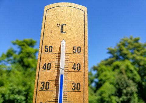 Tolles Sommerwetter in Deutschland. Wetterexperte Johannes Habermehl verspricht: Bis in den September geht es vielfach so schön weiter