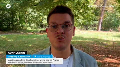 Alerte aux pollens d'ambroisie ce week-end en France : découvrez les régions concernées sur nos cartes !