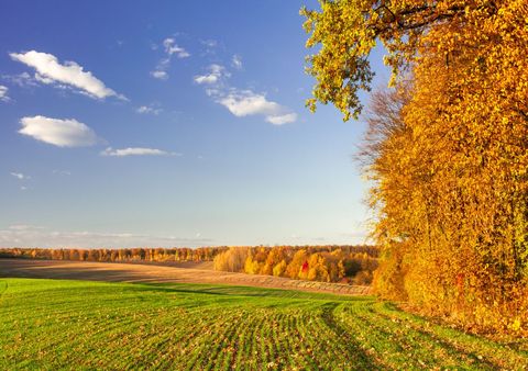 Teils Sonne, teils Wolken, über 20 Grad. Regional goldener Oktober in Deutschland und kaum Regen.