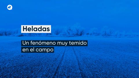 Heladas: Un fenómeno muy temido en el campo