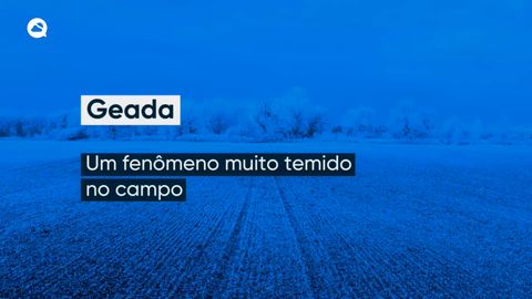 Geada: Um fenômeno muito temido no campo